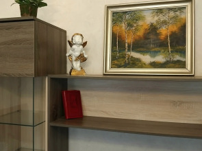 Квартира Золотая Середина