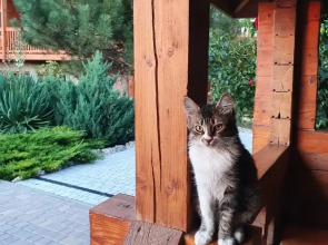 Гостевой Дом Капля Янтаря