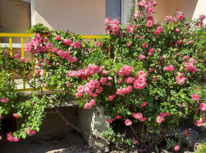 Апартаменты Квартира с двумя спальнями в центре