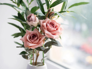 Апартаменты с Видом на Садовую