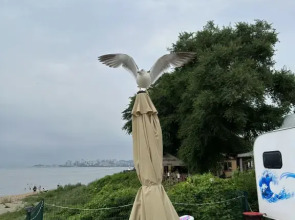 Пляжный Трейлер Кунгасный