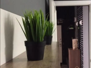 Апарт-отель Ru 1