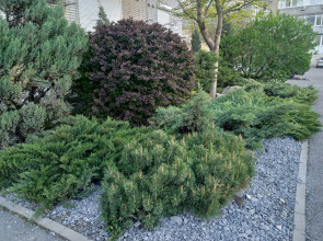 Квартира Студия от Vgosti61 Черное на Белом