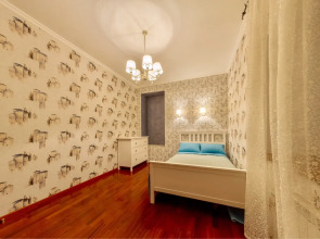 Апартаменты hth24 Владимирский проспект 15(кв. 54)