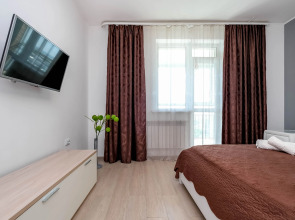 Уютная однокомнатная квартира на Ленина 81