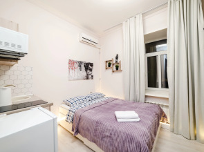 Апартаменты Жуковского 1/2/10 с2 (104)