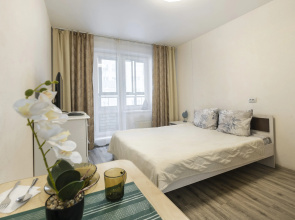 Prince Apartments na Krupskoj 118