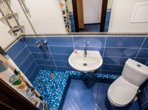 Гостиница Домашняя гостиница Подушка