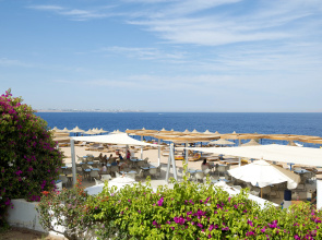 Amphoras Blu