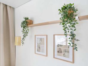 Апартаменты Нормандия