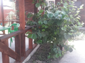 Частный дом Feel House