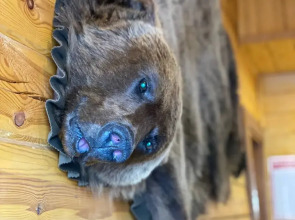 Гостевой Дом БОР'ок