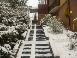 Апартаменты Светогор