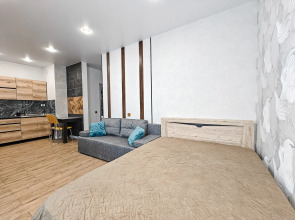 Квартира Писарева 44