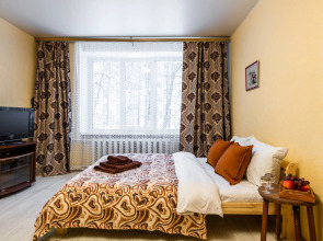 Уютные апартаменты Natali на метро Зюзино