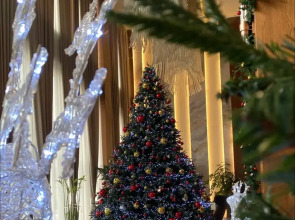 Отель Sofia International