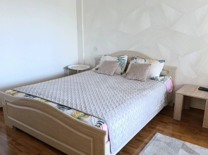 Pritytskogo 38 Metro Pushkinskaya Apartments