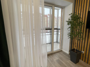 Квартира Монстера