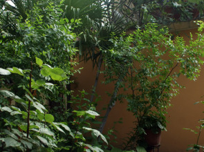 Гостевой Дом Вишневских