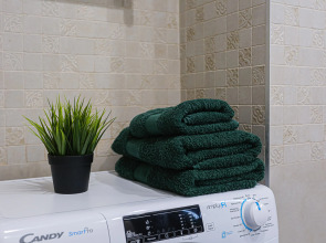 Квартира Бизнес класс Зеленый центр