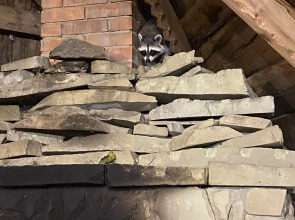 Гостевой дом Отрада