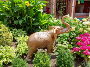 Гостевой Дом Отдых у Александра