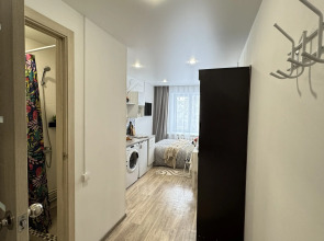 Апартаменты Yousinn Зыряновская