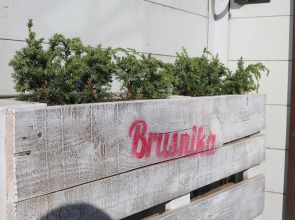 Хостел Брусника