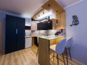 Апартаменты UNO APART на Степана Разина 2 38 м²