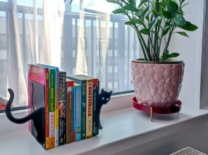 Квартира В гости к Питерскому Коту