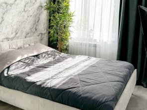 Квартира Однокомнатная в Центре