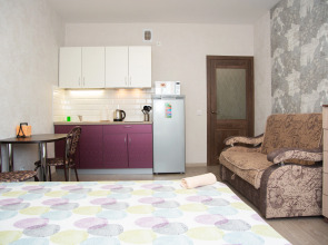 Апартаменты Фрунзе 20