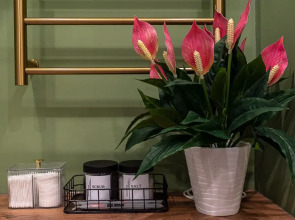 Апартаменты LaMansh Apartment