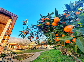 U Morya Guest House