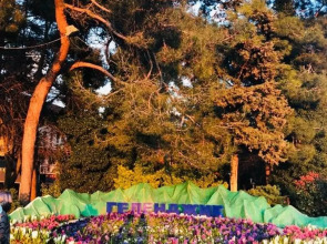 Гостевой дом на Садовой 62