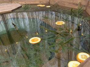 Частный дом A-фрейм в лесу Зеленого города