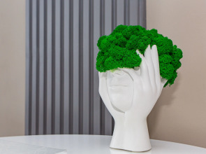 Уютная однокомнатная квартира в центре Новосибирска