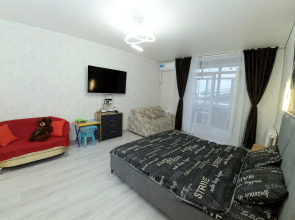 Апартаменты с видом на Акбарс Арену