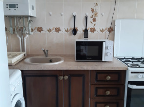 Квартира Золотой жук