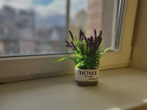 Апартаменты Шарм Балтики