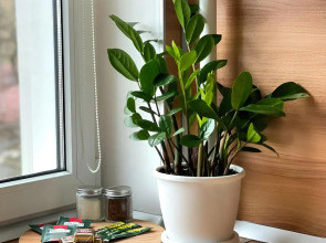 Квартира Кисловодск центр