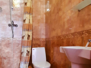 Частный дом На Трудящихся 152а