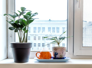 Апартаменты уютные семейные Лада в центре