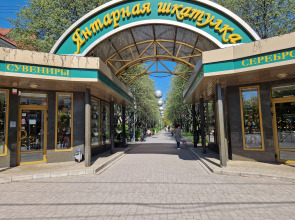 Квартира Апартаменты в Центре Калининграда. "Любимый центр"