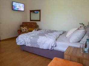 Гостевой дом Тургенева 188