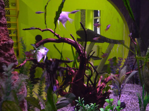 Отель Belgrade City