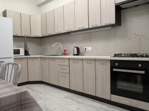 Квартира Чехова 138