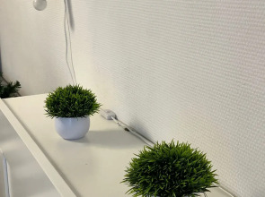 Апартаменты Мустанг