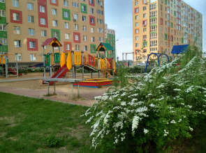 Квартира 1-комнатная Квартира Сеть Апартаментов Триче