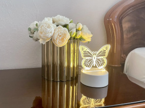 Апартаменты Новая классика